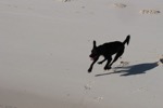 resIMG_20190704_165530_0961.JPG